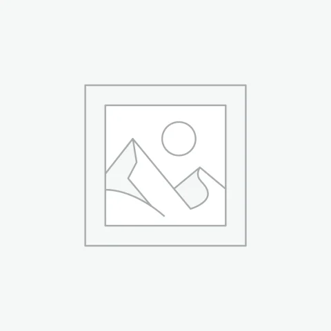 Accessibility & Inclusive